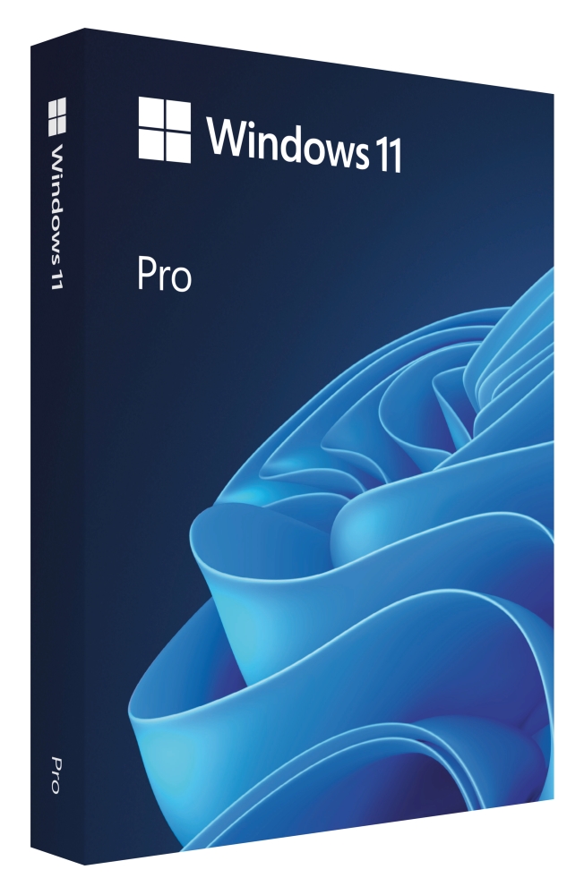 Microsoft Windows Pro 11 64-bit Bulgarian Intl USB RS